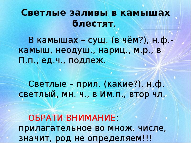 Светлые заливы в камышах блестят.  		В камышах – сущ. (в