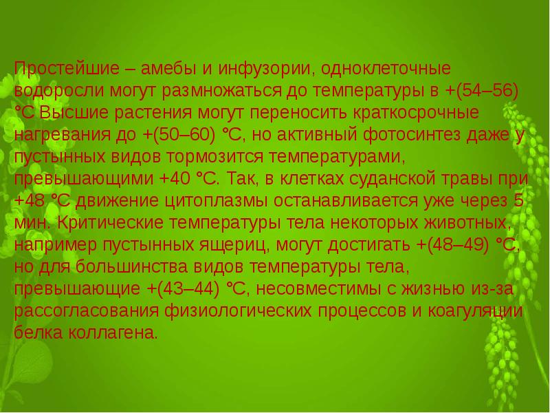 Экологическая характеристика. Доклад эология. Доклад эология чем они изучают.