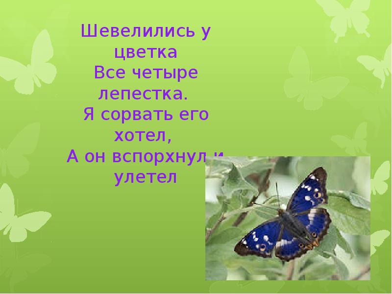 Презентация на тему: "МОУ СОШ 1 г.Городище экологический лагерь "Живая природа""