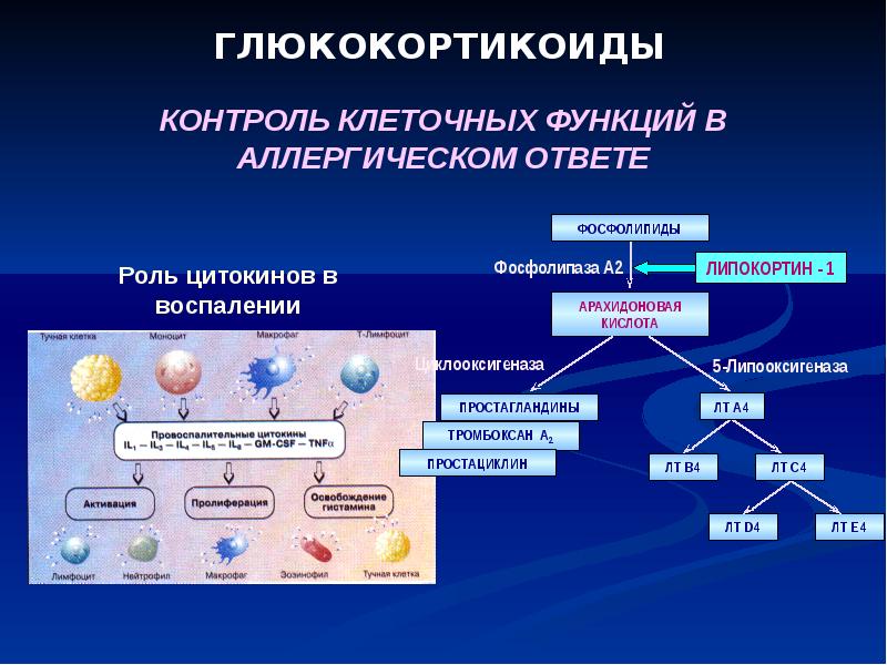 Противоаллергические препараты фармакология презентация