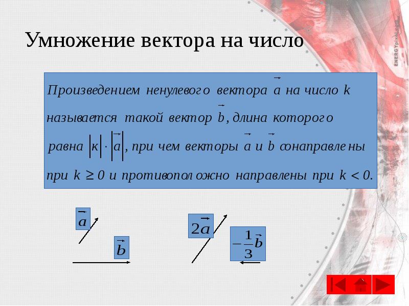 Умножение вектора на число Умножение вектора на число