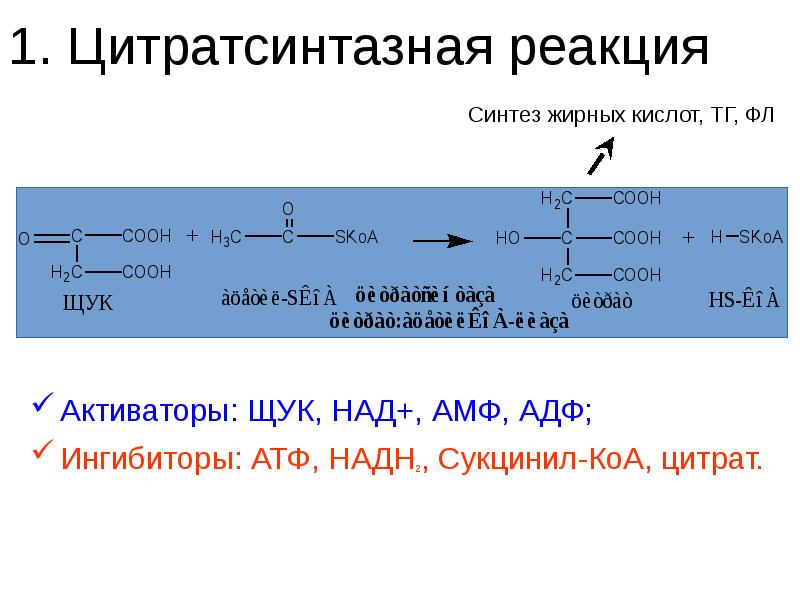 Реакция над. Цитратсинтазная реакция. Окисление надн2. Цитрат + КОА + АТФ. Реакцию «амф + АТФ = 2 АДФ» катализирует.