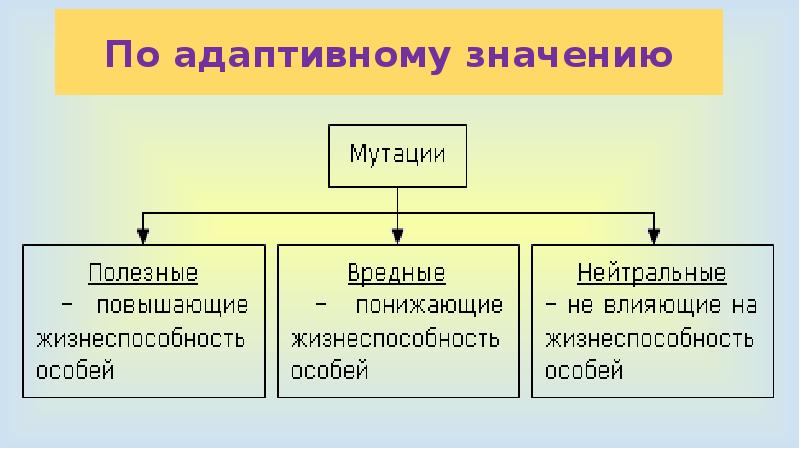 Виды мутации презентация 10 класс