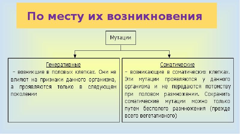 Причины мутаций соматические и генеративные мутации презентация 10 класс