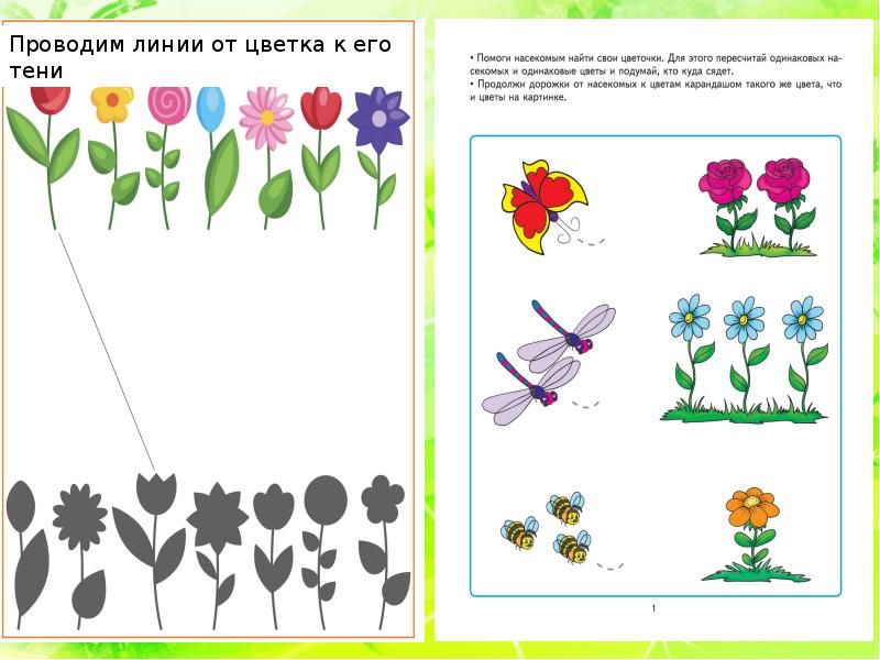 Почему на голове не растут цветочки