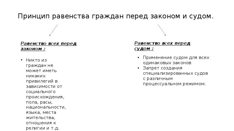 Принцип равенства перед законом и судом