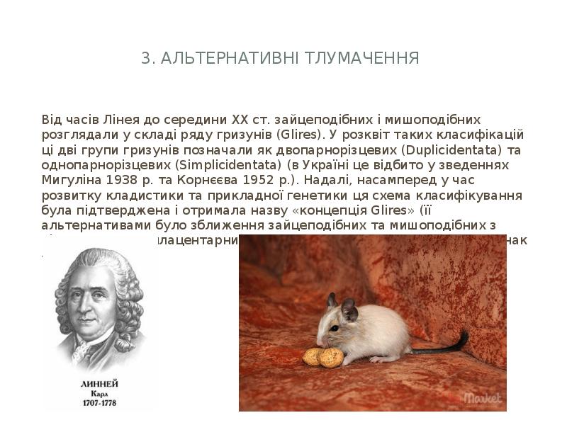 3. Альтернативні тлумачення
Від часів Лінея до середини ХХ 3. Альтернативні тлумачення
Від часів Лінея до середини ХХ