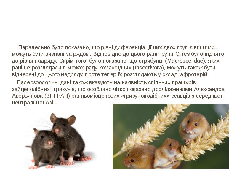 Паралельно було показано, що рівні диференціації цих двох груп є вищими Паралельно було показано, що рівні диференціації цих двох груп є вищими