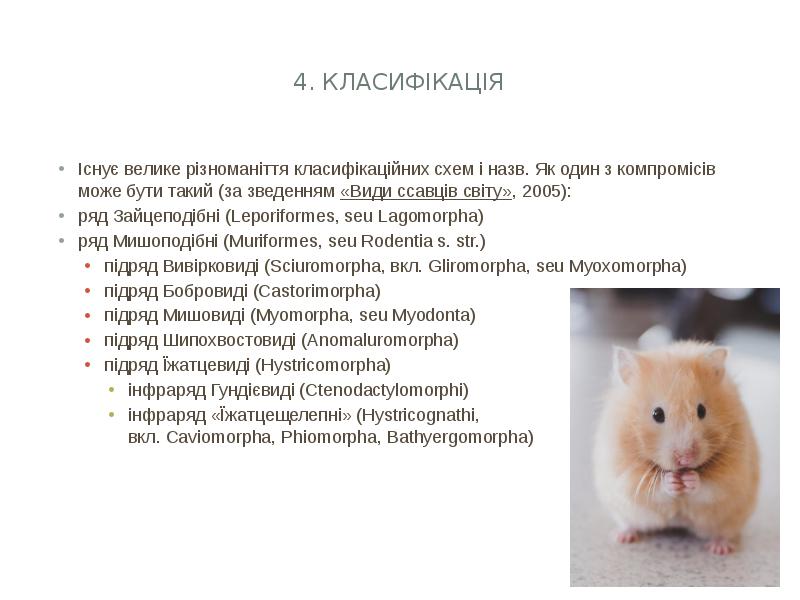 4. Класифікація
Існує велике різноманіття класифікаційних схем і назв. Як 4. Класифікація
Існує велике різноманіття класифікаційних схем і назв. Як