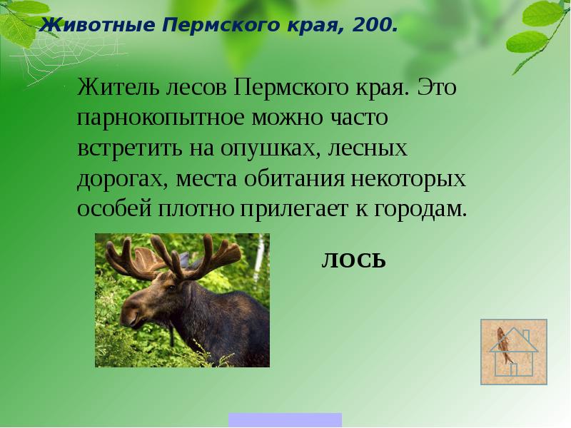 Животные пермского края занесенные в красную книгу презентация