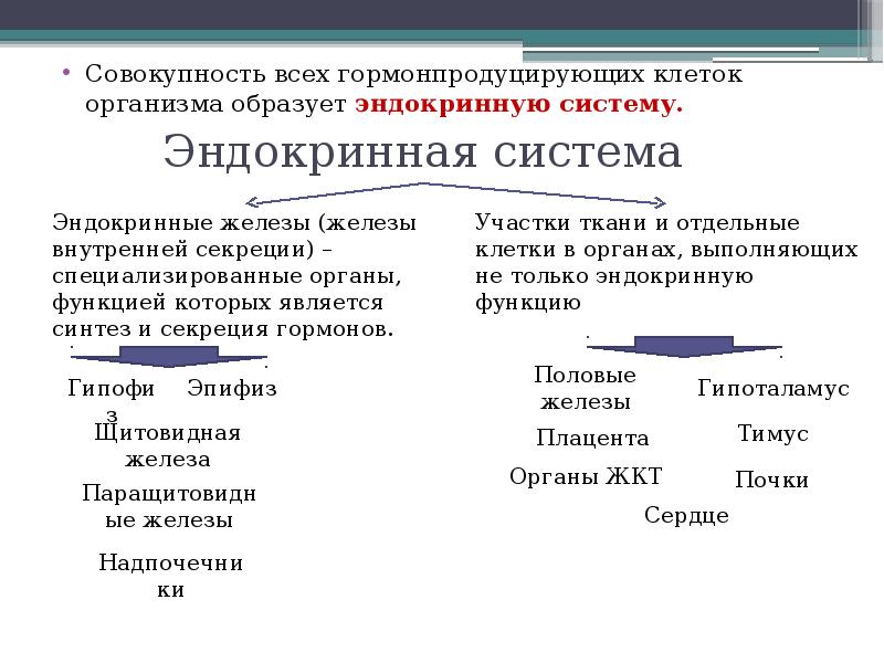 Физиология эндокринной системы презентация