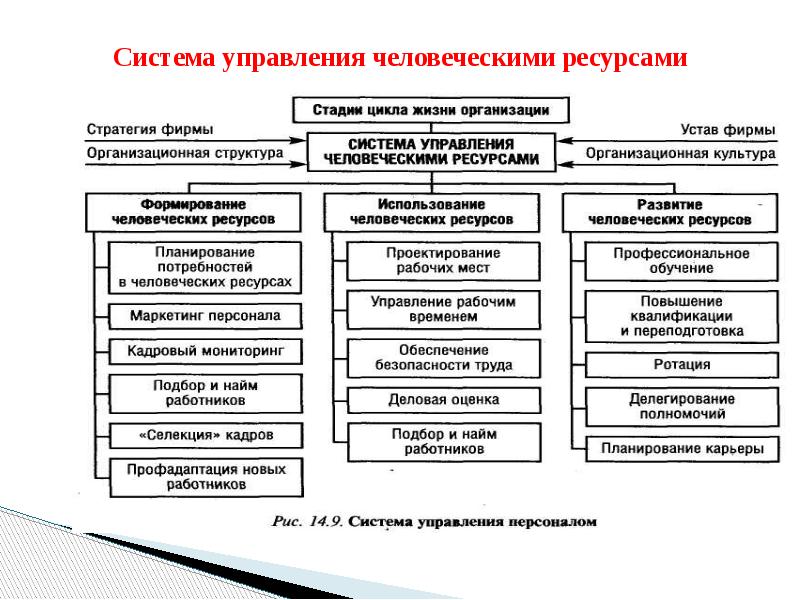 Управление человеческими ресурсами учебный план