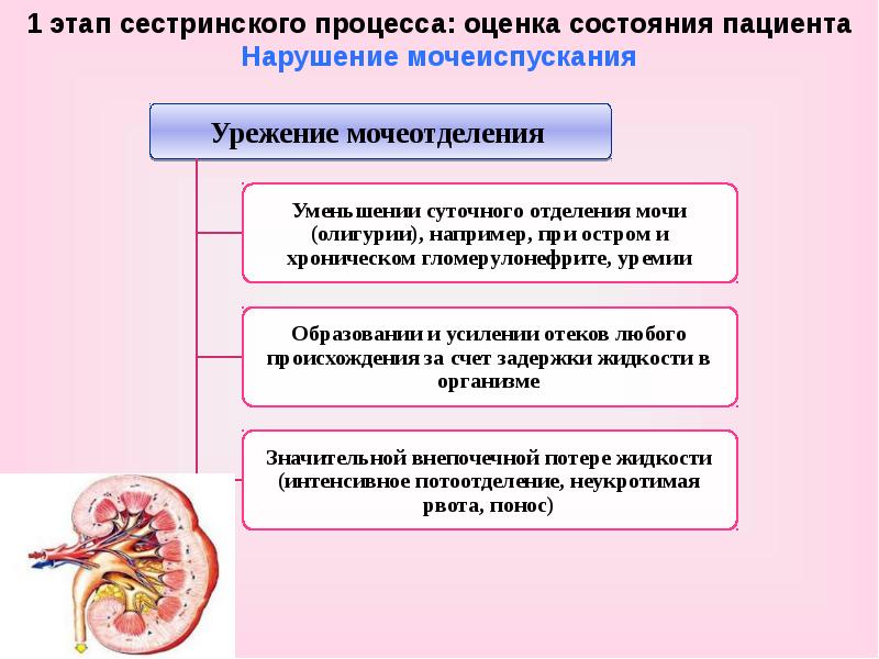 План сестринского ухода за пациентом при нарушении удовлетворения физиологических потребностей