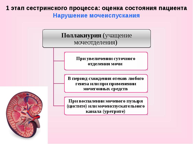 План сестринского ухода за пациентом при нарушении удовлетворения физиологических потребностей