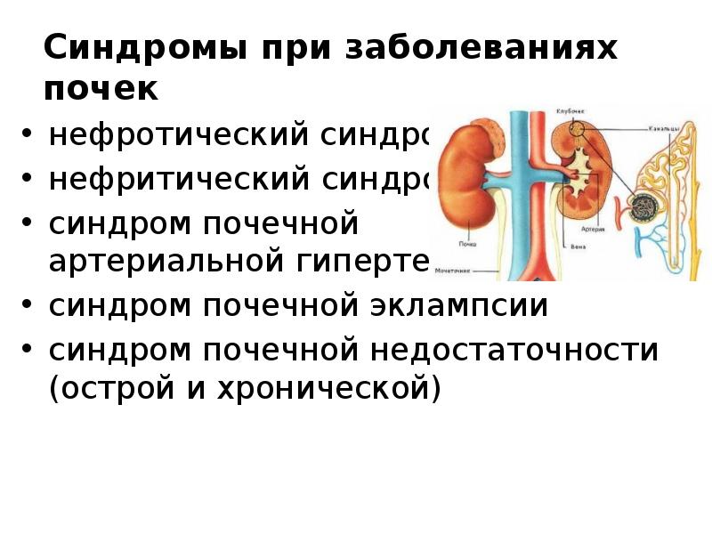 Нарушение почек. Острые и хронические заболевания почек. Заболевание почек презентация. Схема при воспалении почек.