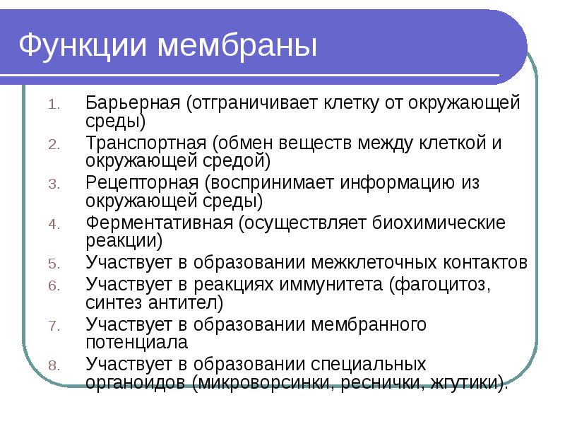 3 функции мембраны