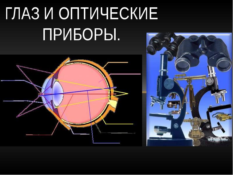 Глаз презентация по физике