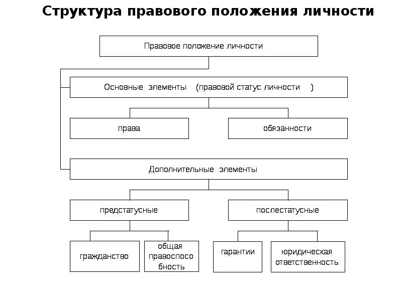 Правовой статус личности структура