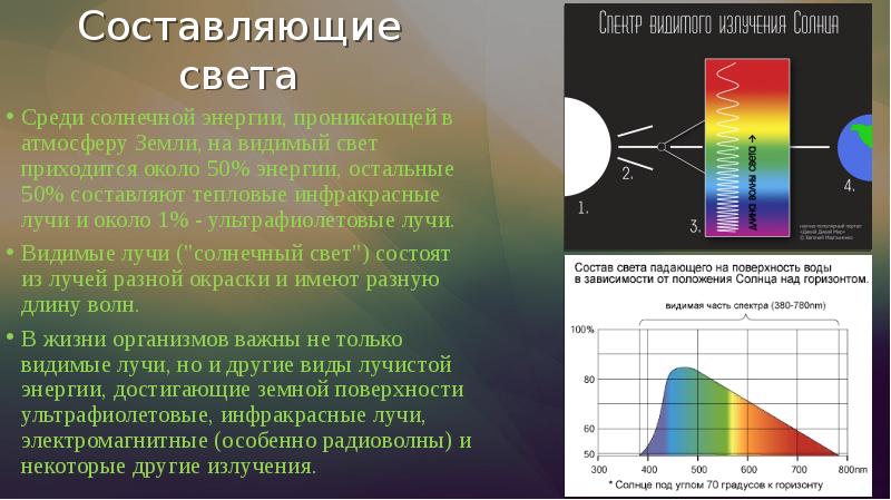 Свет как экологический фактор презентация