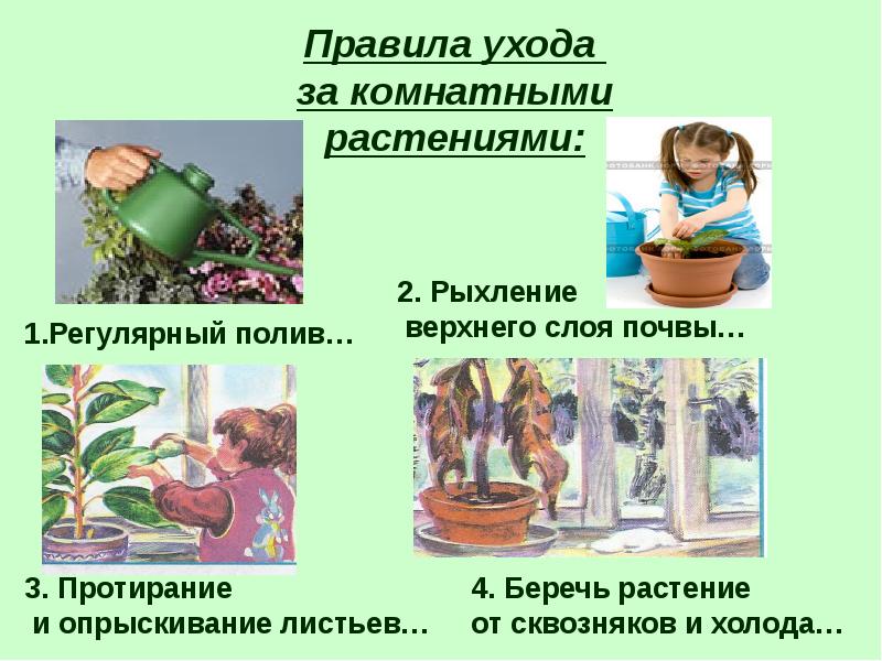 Комнатные растения для дошкольников. Уход за комнатными растениями. Комнатные растения для детей. Предметы для ухода за комнатными цветами. Комнатные цветы окружающий мир 2 класс.