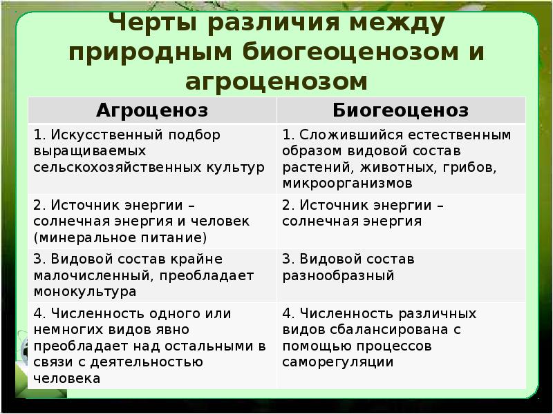 Экологические сообщества 11 класс презентация