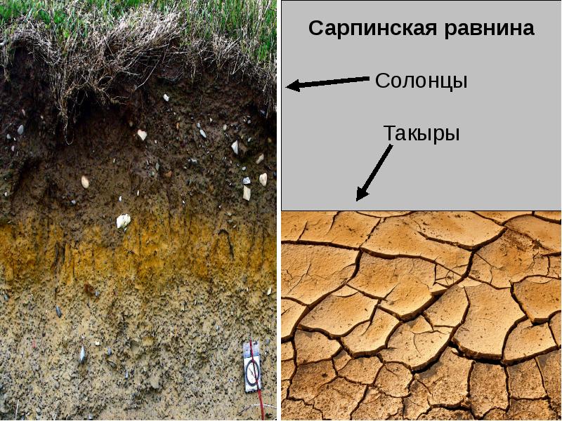 На рисунке показан такыр форма рельефа образуемая при высыхании почв в пустынях и полупустынях