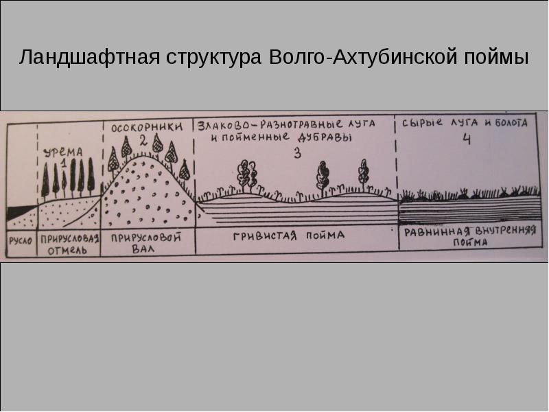 Структура ландшафта. Строение ландшафта. Ландшафтная структура. Ландшафтная структура России. Закат горизонтальная структура ландшафта.