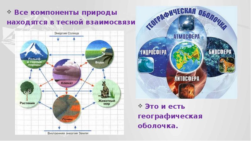 Комплексы географической оболочки. Компоненты природы в географической оболочке. Компоненты природы 6 класс. Взаимосвязь компонентов географической оболочки. Компоненты природы 6 класс география.