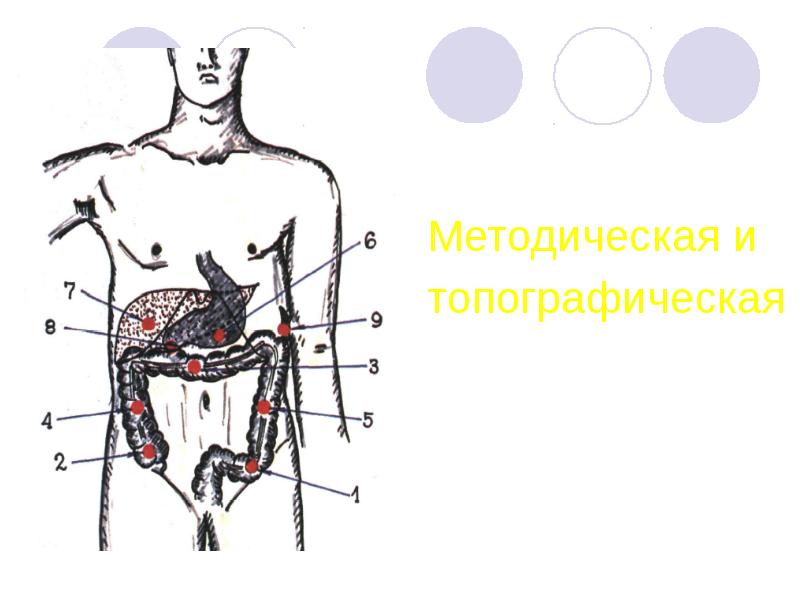 Методы обследования органов пищеварения презентация