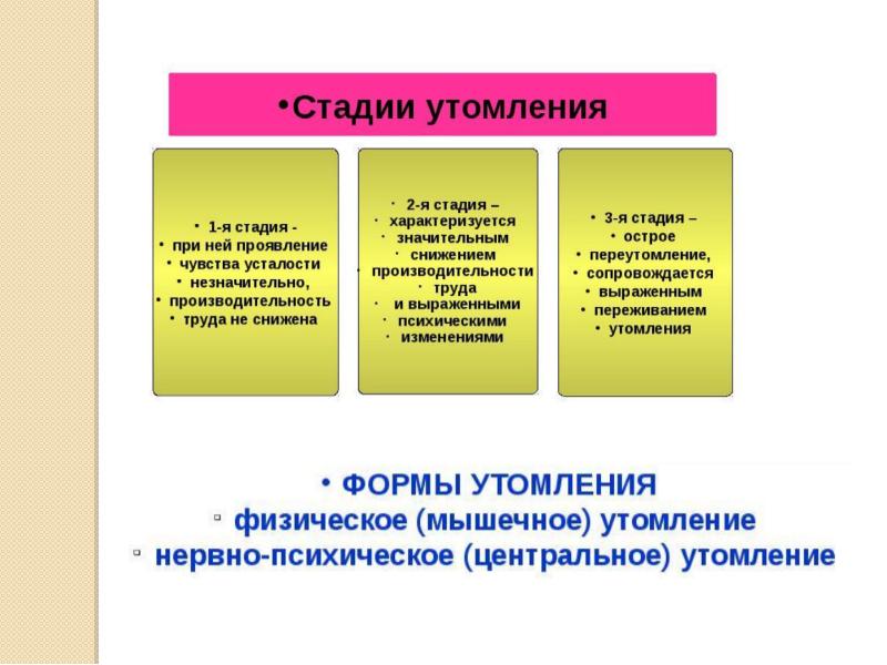 Презентация утомление при физической и умственной работе