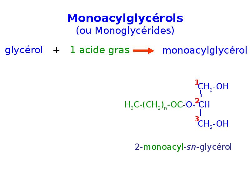 Monoacylglycérols (ou Monoglycérides) Monoacylglycérols (ou Monoglycérides)