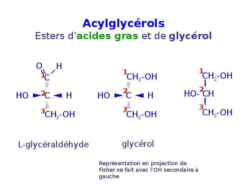Acylglycérols Acylglycérols