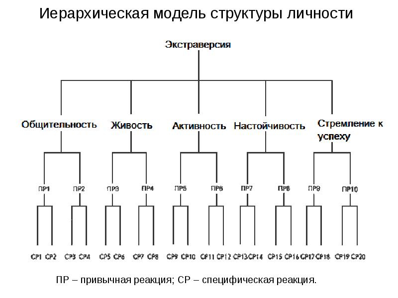 Иерархия структуры. Структура иерархии. Иерархическая структура личности. Иерархическая структура капитала. Иерархическая структура индивидуальности.