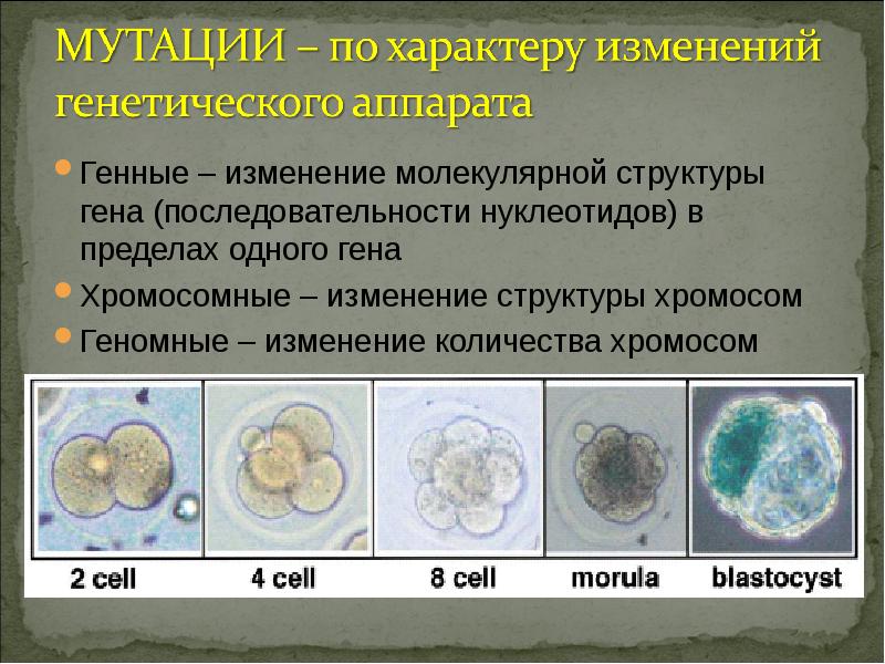 Изменения структуры гена. Изменение генетического аппарата клетки. изменение структуры гена. генные изменения молекулярной структуры. генетические изменения.