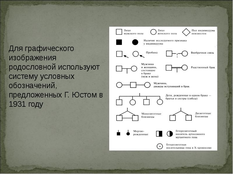 Условные обозначения в генеалогическом древе. Графическое изображение родословной. Символы родословной генетика. Символы для составления родословной.