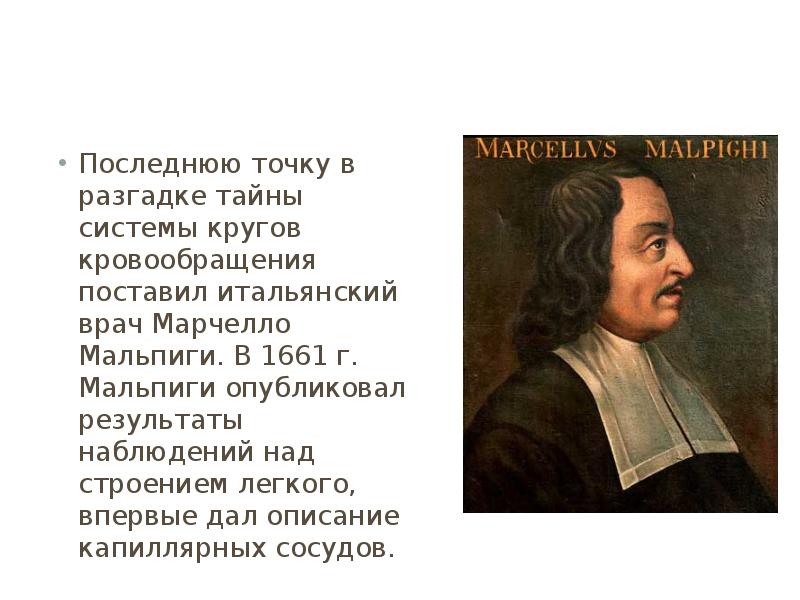 Презентация марчелло мальпиги