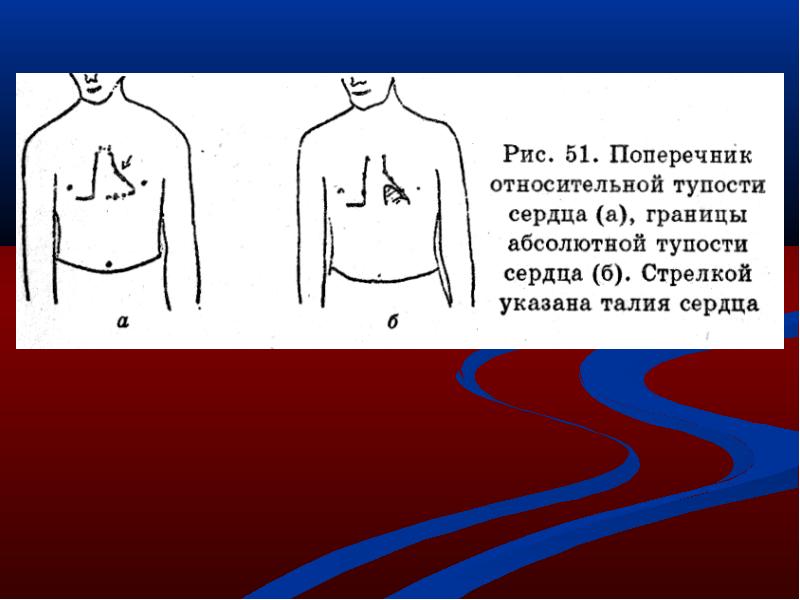 Длинник сердца. Поперечник сердца перкуссия. Поперечник относительной тупости сердца. Поперечник сердца в норме.