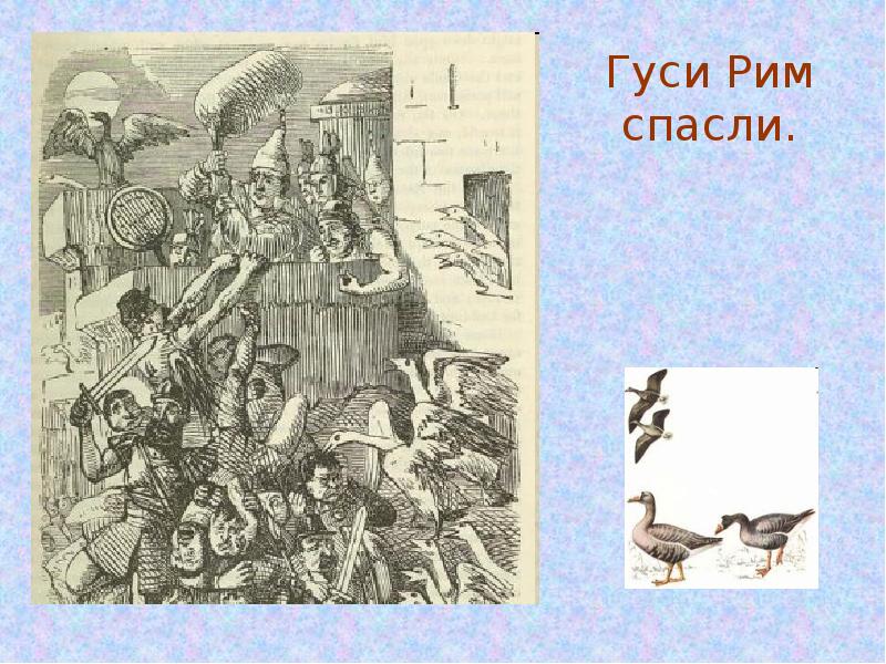 Рисунок как гуси рим спасли 5 класс