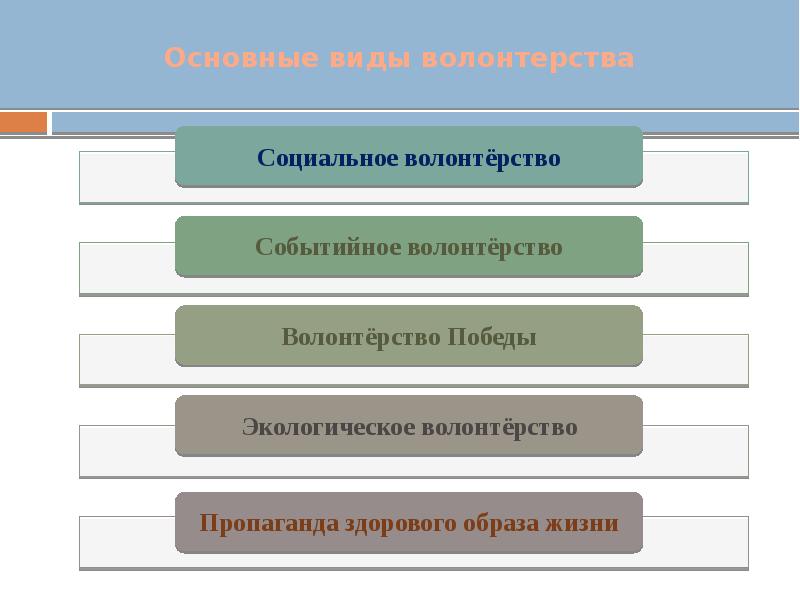 Что такое задачи в рамках проекта волонтерство