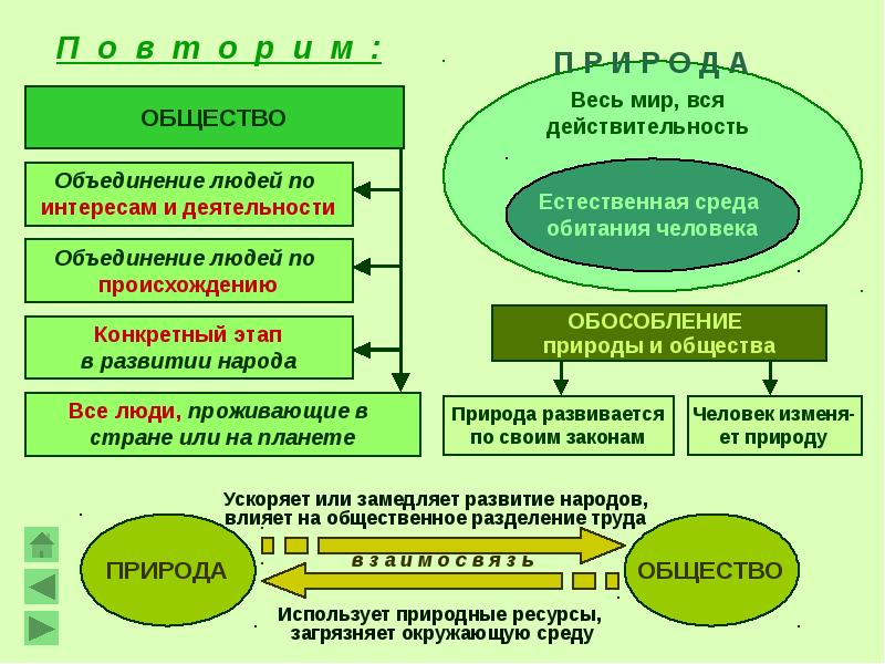 План конспект экологическое право 11 класс