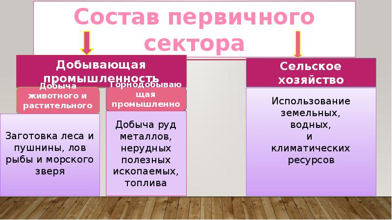 Состав первичного сектора экономики природные ресурсы презентация 8 класс