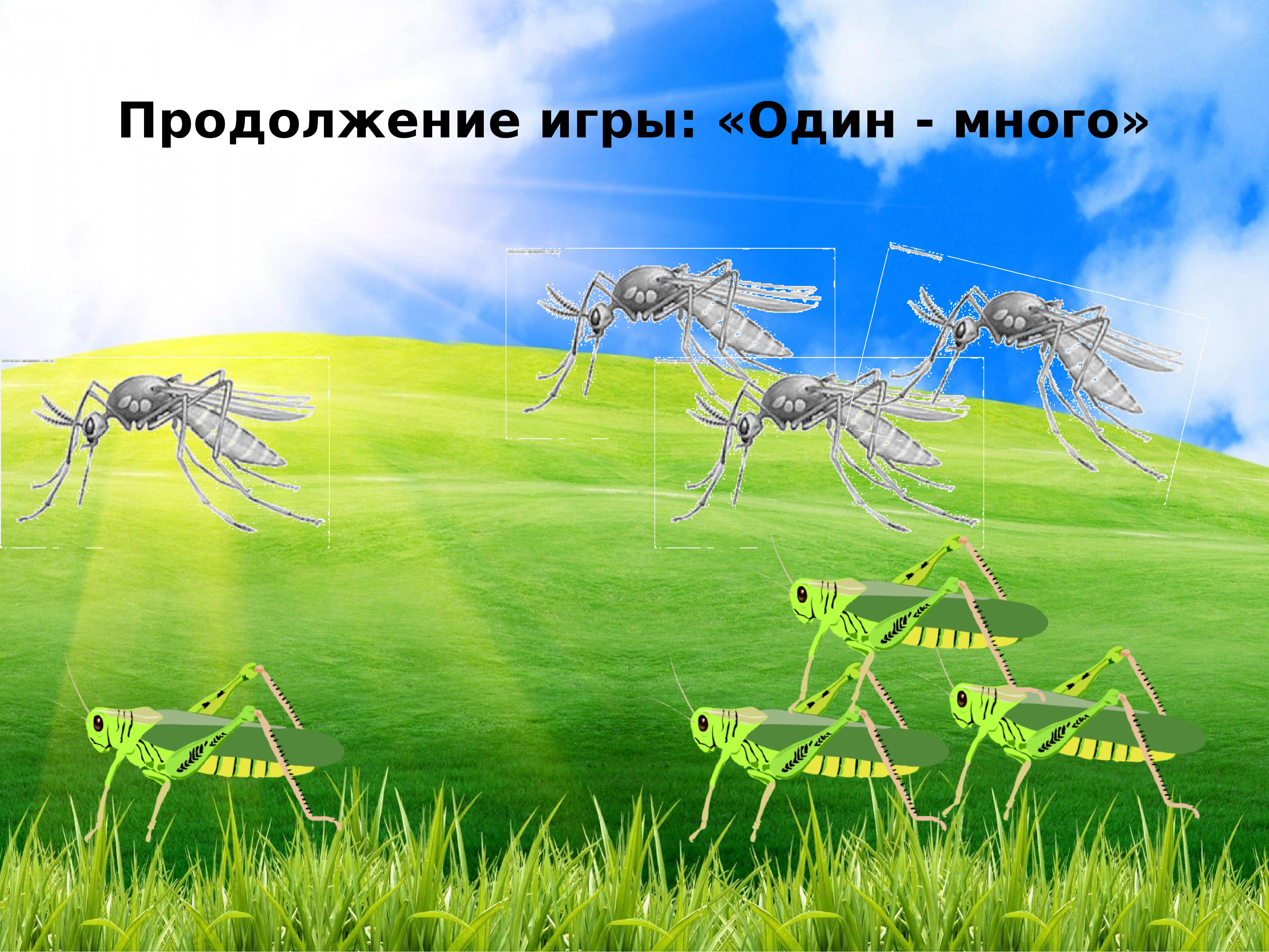 Планета насекомых. Насекомые обложка для доклада. Викторина насекомые нашего Северного края для детей. Картинка спасибо за презентацию по теме насекомые. Подземные насекомые презентация.