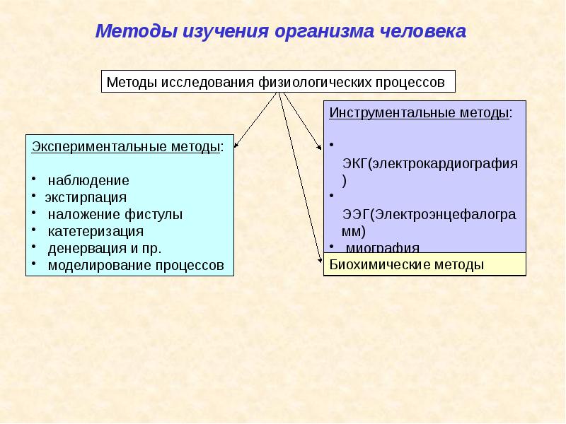Основные методы физиологии как науки. Основные методы физиологии как науки