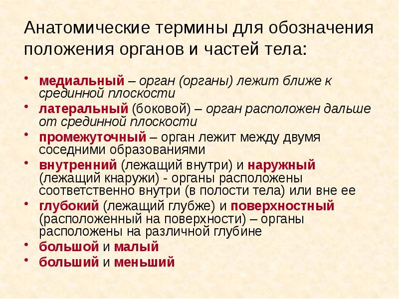 Дайте определение понятию анатомия