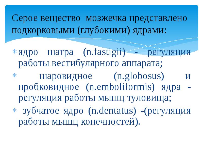 Ядра серого вещества мозжечка. Ядро шатра мозжечка. Серое и белое вещество мозжечка.