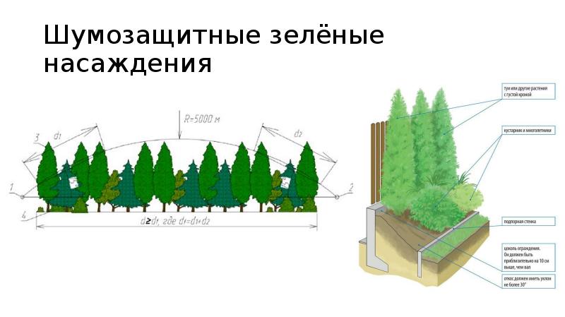 Схема зеленых насаждений