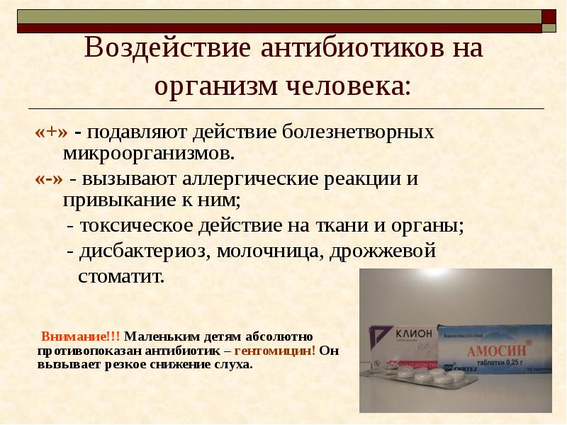 Воздействие антибиотиков на организм человека: «+» - подавляют действие болезнетворных микроорганизмов.