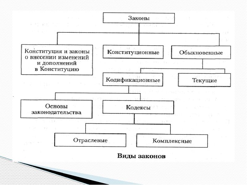 Формы выражения социальной политики. Законы бывают конституционными и обыкновенными. Конституционные и обыкновенные законы. Конституционные и обыкновенные законы примеры. Виды законов конституционные обыкновенные текущие.