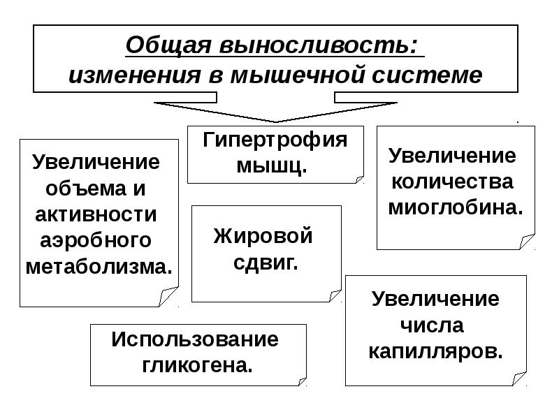 Система увеличения. Структура выносливости это. Общая выносливость. Физиологическая характеристика силовой работы. Курсовая физиологические характеристики двигательных качеств.