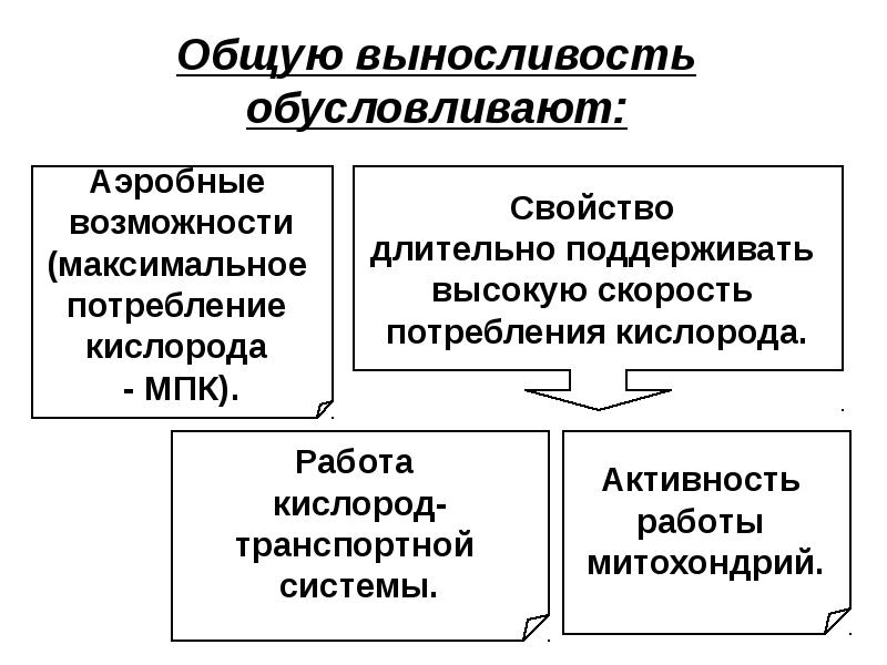 Физиологическая характеристика. Факторы, обусловливающие выносливость. Структура общей выносливости. Физиологическая характеристика силовой работы. Курсовая физиологические характеристики двигательных качеств.